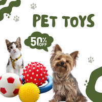 Pet Groming