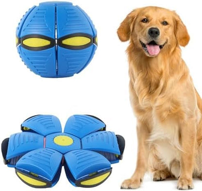 Pet Toy Flying Saucer Ball
