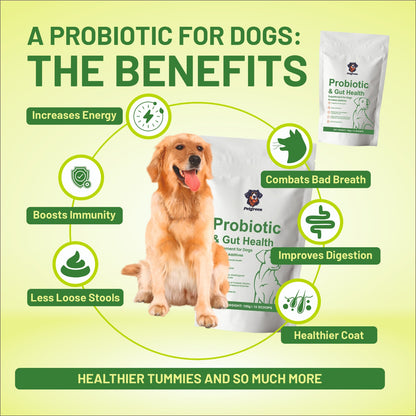 Petgreen™ Hairfall & Weakness Support Combo
