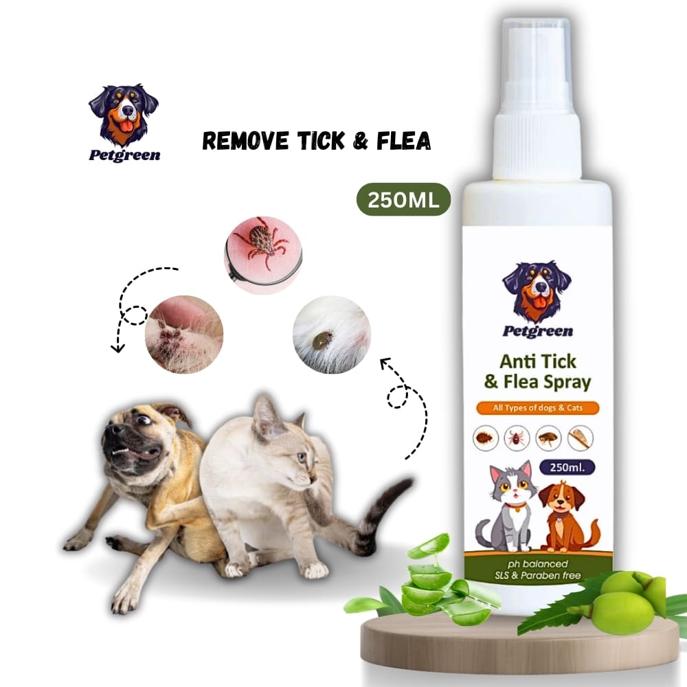 Petgreenn Dry Bath and Anti tick and flea Spray (Dog and Cats ) COMBOO