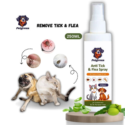 Petgreenn Dry Bath and Anti tick and flea Spray (Dog and Cats ) COMBOO